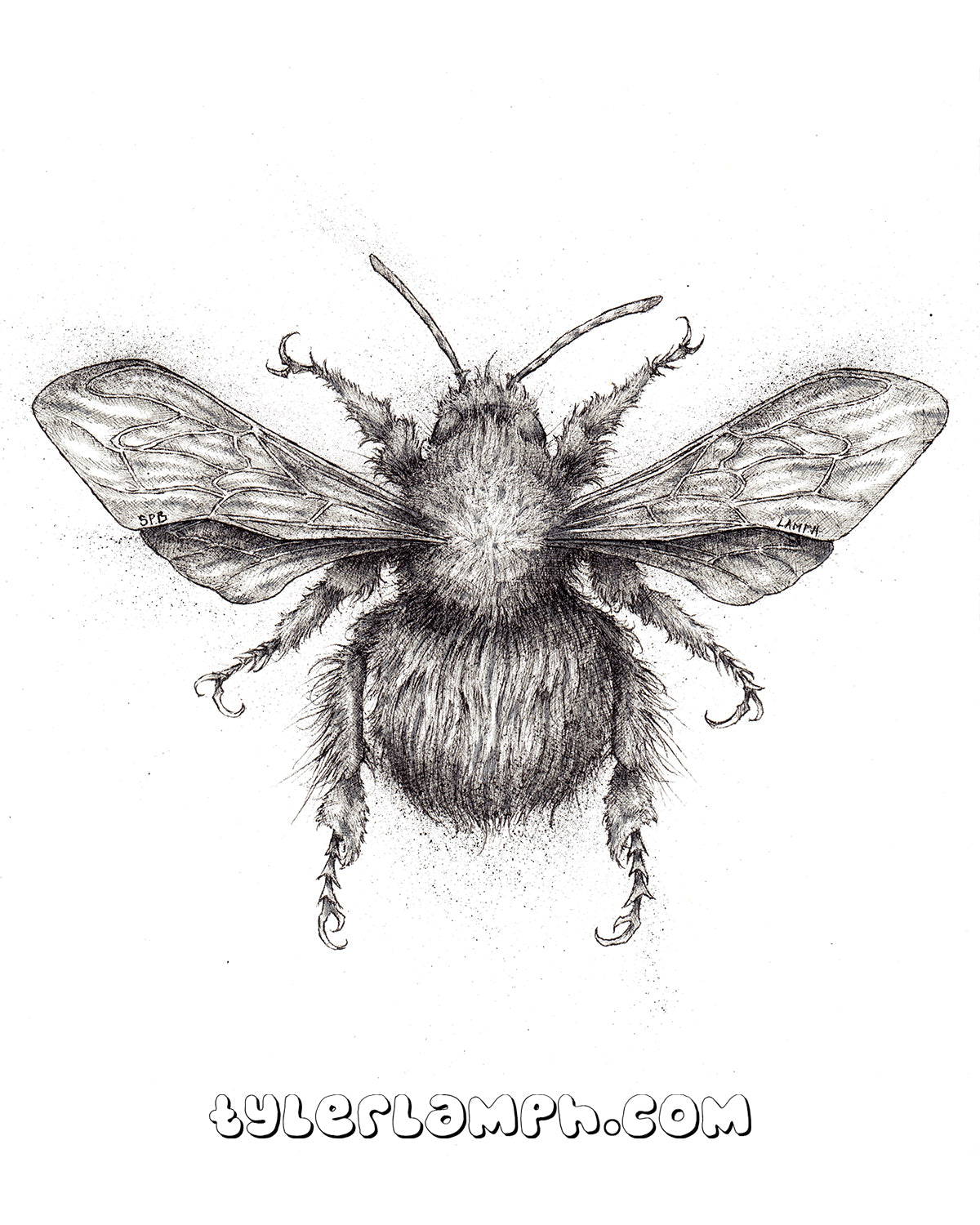 Bumblebee - Original Artwork