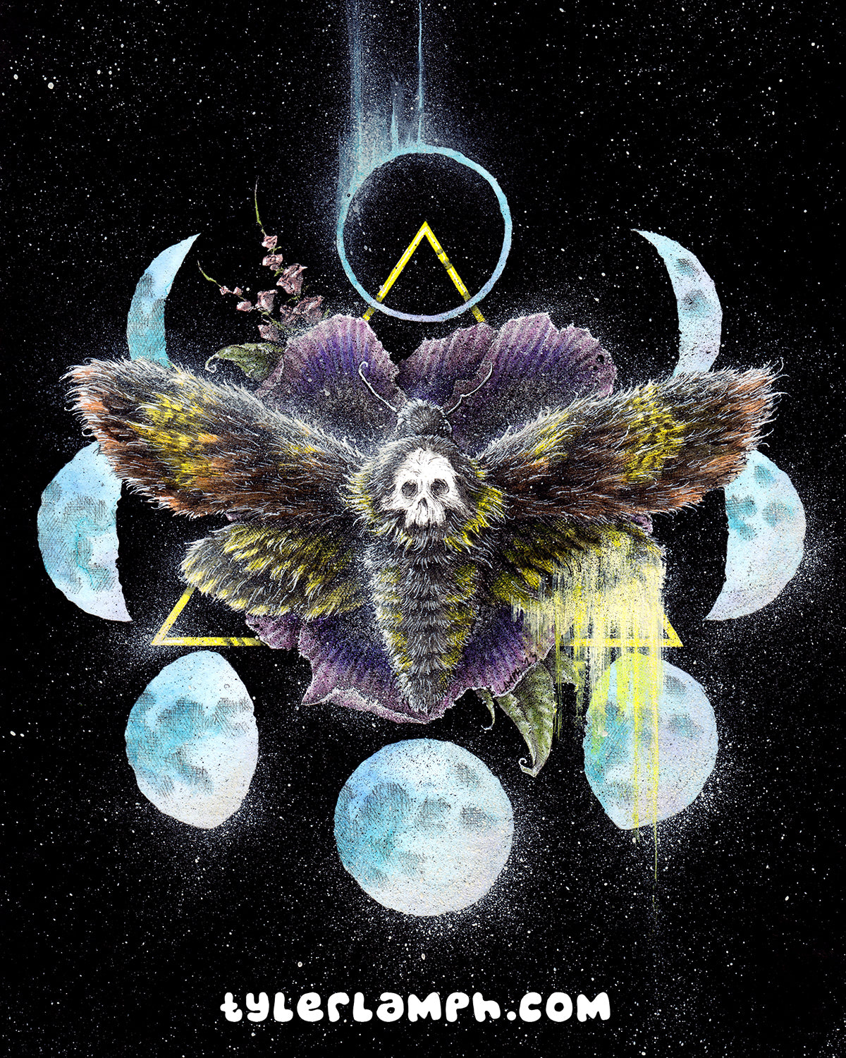 The Death's-Head Hawkmoth - Framed Original Artwork