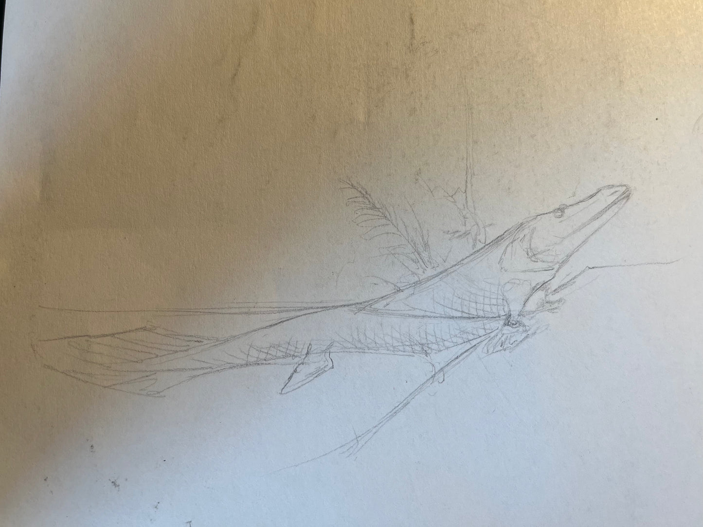 Custom Artwork - Jon Hughes