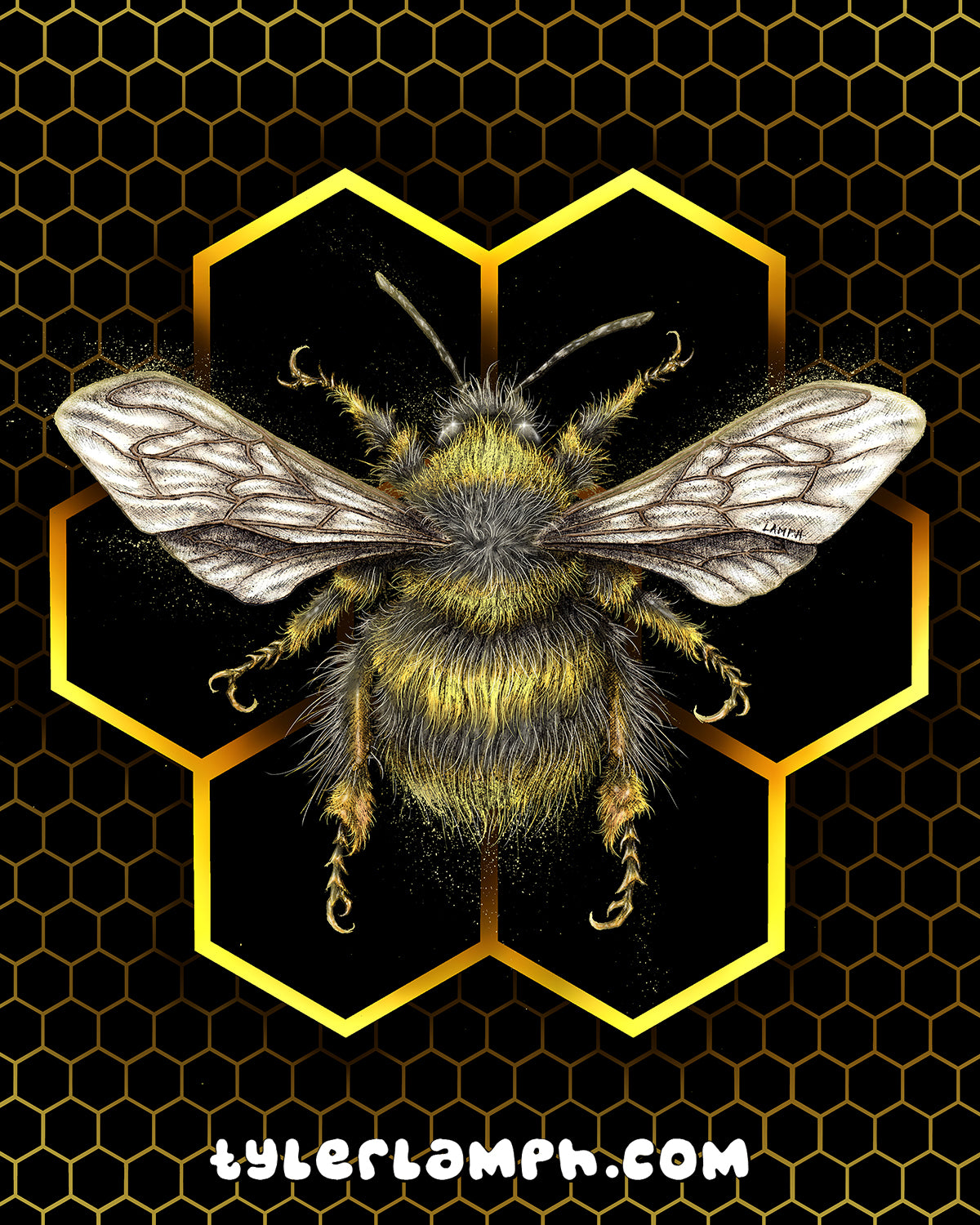 Honeycomb - 8"x10"